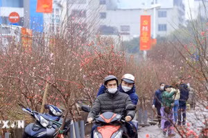 Dịp nghỉ Tết Nguyên đán Ất Tỵ cán bộ, công chức, viên chức sẽ được nghỉ 9 ngày, gồm 5 ngày nghỉ Tết theo Bộ Luật Lao động và 4 ngày nghỉ hằng tuần. (Ảnh: TTXVN)