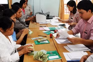 Hiệu quả từ nguồn vốn tín dụng chính sách ủy thác qua Hội liên hiệp phụ nữ