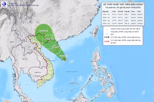 Dự báo hướng đi của áp thấp nhiệt đới.