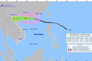 Siêu bão Ragasa cách Quảng Ninh khoảng 650km