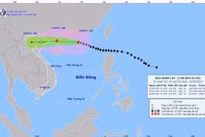 Siêu bão Ragasa cách Quảng Ninh khoảng 650km