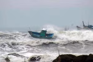 Các tỉnh từ Quảng Ninh đến An Giang chủ động ứng phó với gió mạnh trên biển