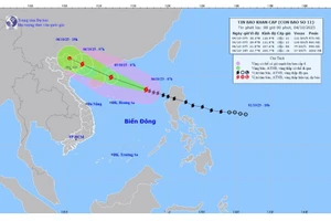 Bão Matmo mạnh lên rất nhanh, cách đặc khu Hoàng Sa khoảng 470km