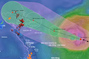 Xuất hiện 2 kịch bản dự báo hướng đi của bão Matmo
