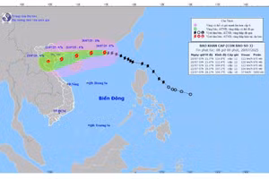 Dự báo đường đi của bão WIPHA.
