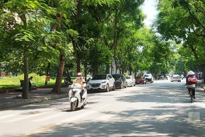 Ảnh minh họa.