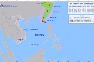 Bão số 2 giật cấp 11, dự báo đạt cường độ mạnh nhất trong 24 giờ tới
