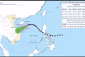 Bão Fengshen gây mưa lớn khu vực Hà Tĩnh đến Quảng Ngãi