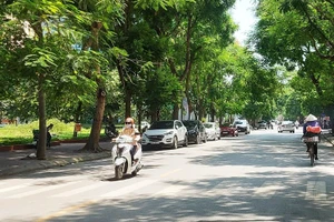 Ảnh minh hoạ.