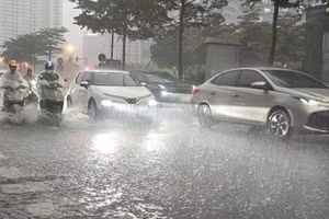 Mưa lớn, dông lốc khiến hơn 400ha lúa và hoa màu bị ngập