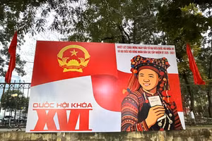 34 tỉnh, thành phố chủ động ứng phó thiên tai trong thời gian bầu cử