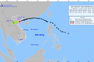 Dự báo hướng đi bão Wipha.