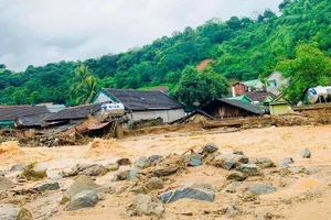 Ảnh đại diện.