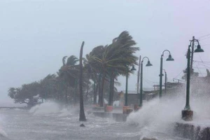 Siêu bão Ragasa suy yếu dần, còn cách Quảng Ninh hơn 500km