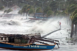 Bão Matmo tăng tốc, mỗi giờ đi được khoảng 25km