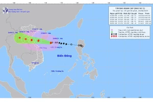 Dự báo hướng đi bão số 5.