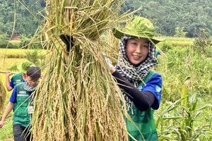 Hoa hậu Bảo Ngọc gặt lúa, lội bùn hỗ trợ bà con dựng nhà sau lũ