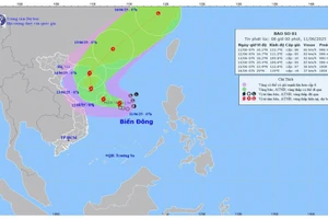 Dự báo quỹ đạo và cường độ Bão số 1. (Ảnh: Trung tâm Dự báo khí tượng thủy văn quốc gia).