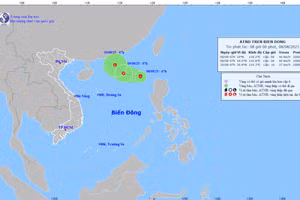 Dự báo hướng đi vùng áp thấp nhiệt đới.