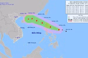 Bão số 8 mạnh cấp 10, giật cấp 12 biển động mạnh