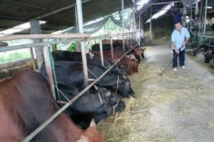 Tạo chuyển biến thực chất trong giảm nghèo bền vững tại Xuân Viên