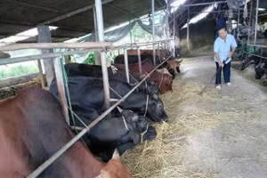 Tạo chuyển biến thực chất trong giảm nghèo bền vững tại Xuân Viên