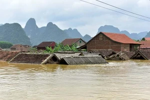 Ảnh minh họa.