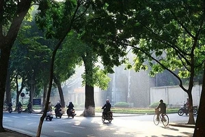 Ảnh minh họa.