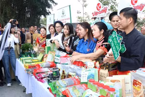 Giảm nghèo giai đoạn 2026–2035: Đẩy mạnh ứng dụng công nghệ cao, chuyển đổi số