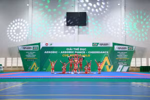 Mãn nhãn màn trình diễn của 68 đội tại Giải thể dục Aerobic Cúp MILO lần VIII