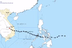 Bão Kalmaegi khiến 5 người chết, 6 người bị thương