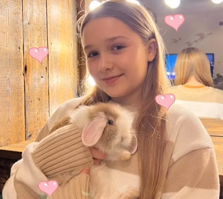 Harper là rich kid nổi tiếng trên thế giới. Con gái David Beckham phổng phao, xinh như hotgirl ở tuổi 12