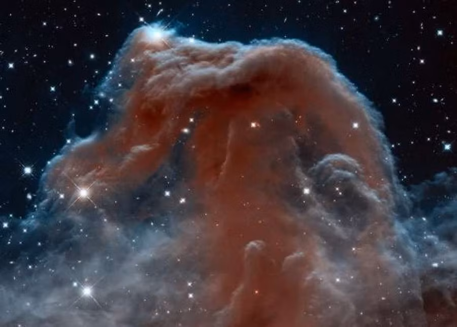 Những bức ảnh ấn tượng nhất do NASA ghi lại được ảnh 7 Tinh vân Đầu ngựa được phát hiện cách đây hơn 1 thế kỷ và là một trong những vật thể đẹp nhất của thiên văn học.