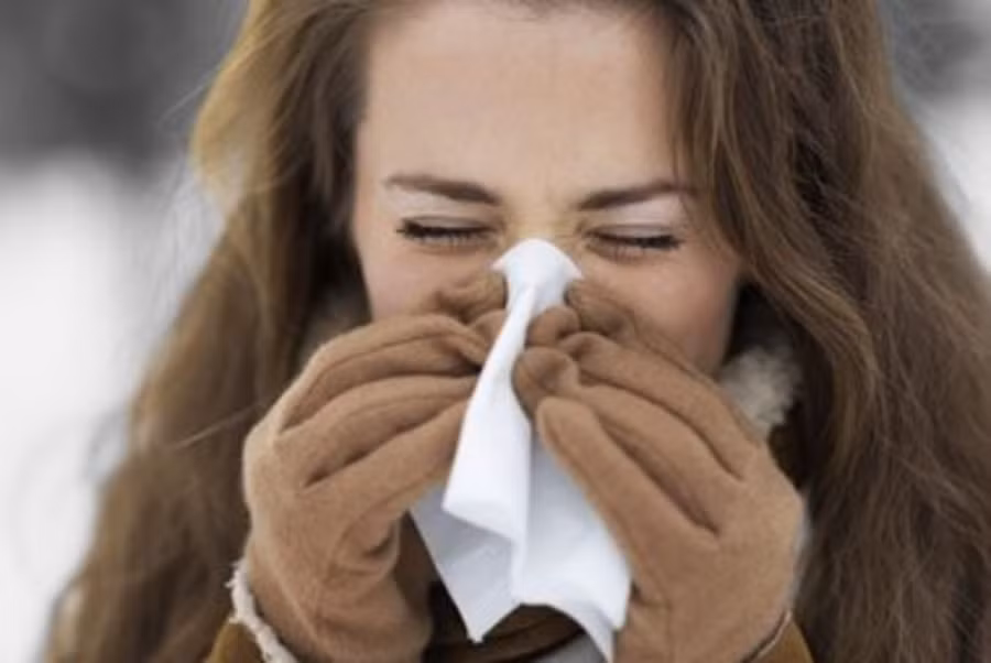 Công dụng kỳ lạ của hạt tiêu ảnh 4 Thông mũi: Tiêu đen có tác dụng thông mũi tự nhiên nhờ có các hóa chất kích thích màng mũi tiết dịch nhầy loãng hơn, từ đó giúp xoang mũi thông thoáng hơn. Bạn hãy nhỏ 5 giọt dầu tiêu đen và một ít dầu khuynh diệp vào nước sôi rồi xông hơi bằng hỗn hợp nói trên.