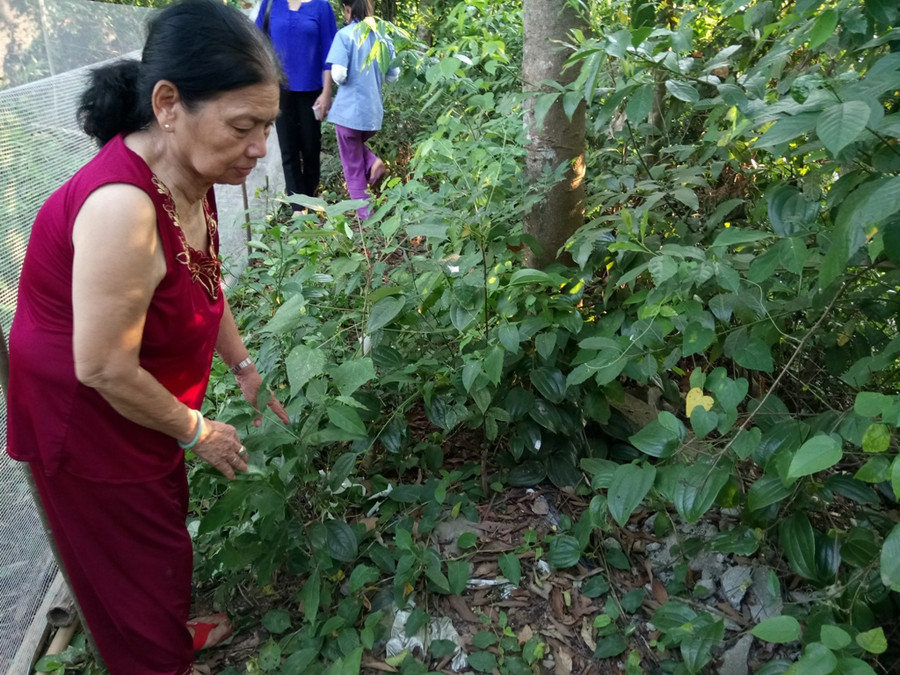 Khu vực nơi bà Gái phát hiện cháu bé bị bỏ rơi