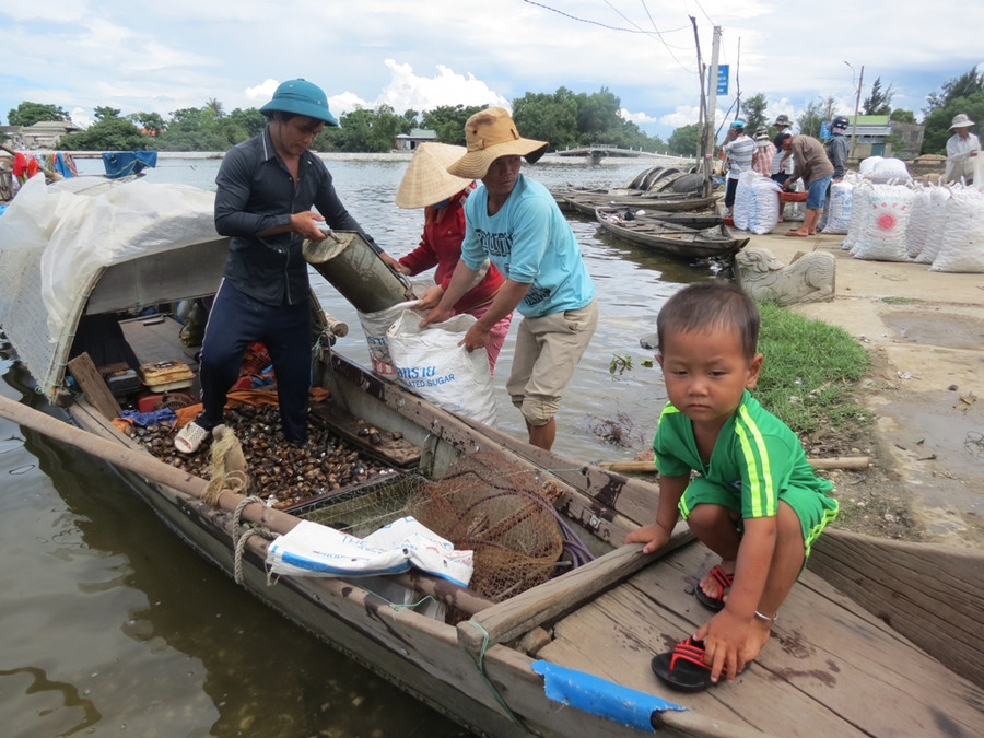 Bố con cùng theo mẹ đi bắt Trìa