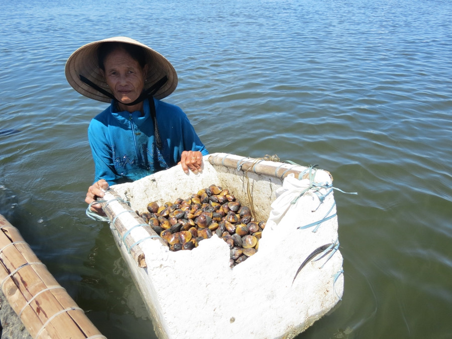 Giữa trưa nắng nóng như thiêu đốt những người giậm Trìa vẫn thi nhau ngụp lặn giữa sóng nước Tam Giang