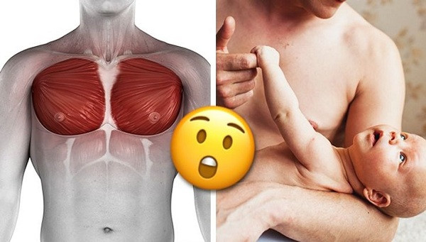 8 sự thật thú vị về cơ thể đàn ông ảnh 2 co the dan ong Giadinhvietnam (9)