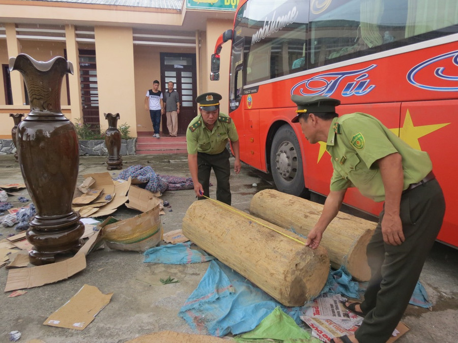 Nhiều thanh gỗ có đường kính khá lớn được cất giấu dưới gầm xe