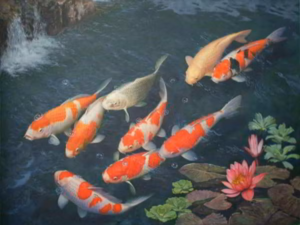 Giải mã những giấc mơ về cá