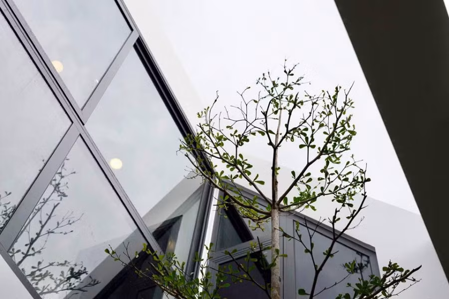 Không gian mở nhiều ánh sáng