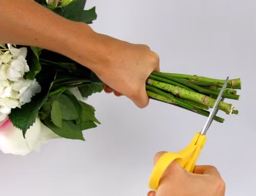 Bí quyết cắm hoa tươi lâu