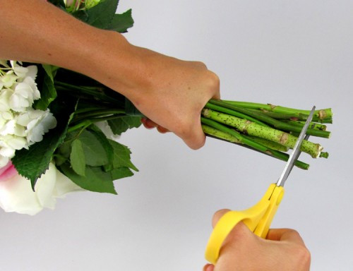 Bí quyết cắm hoa tươi lâu. Bí quyết cắm hoa tươi lâu