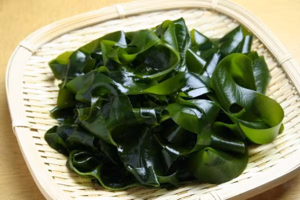 Tảo biển tốt cho thai nhi trong bụng