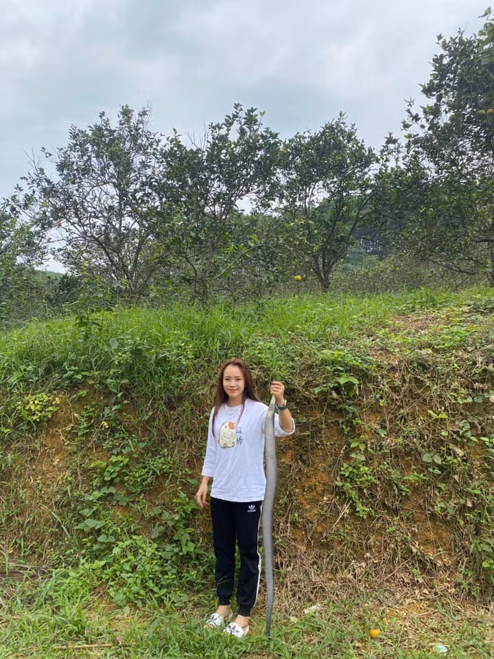 Hình ảnh cô gái tay không bắt rắn khiến nhiều người kinh ngạc.