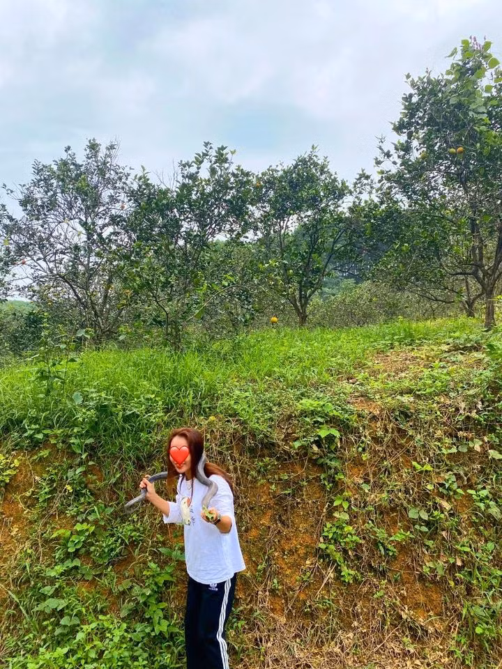 co-gai-10x-tay-khong-bat-ran-03