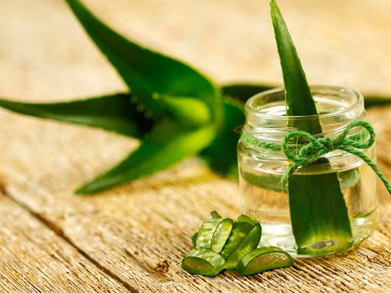 cach-tri-bong-luoi-do-do-an-nong-01