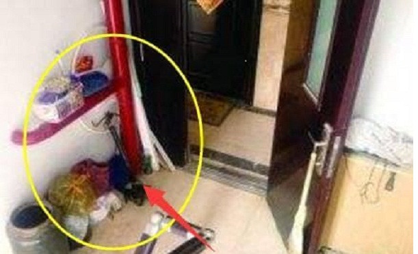 Nhà ở có 11 điểm này bảo sao 3 đời nghèo rớt mồng tơi ảnh 1 1