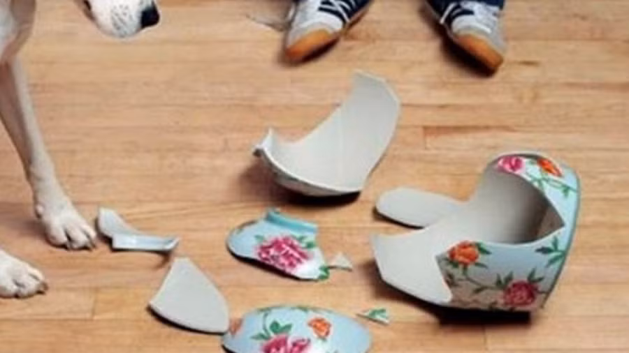 Đồ đạc tự nhiên rơi vỡ không lý do