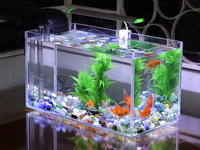 8-vat-khong-nen-bay-trong-phong-tan-hon-02